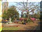 Monumento a Sarmiento--(67kb) clic para ampliar