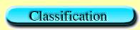 la classification des orques