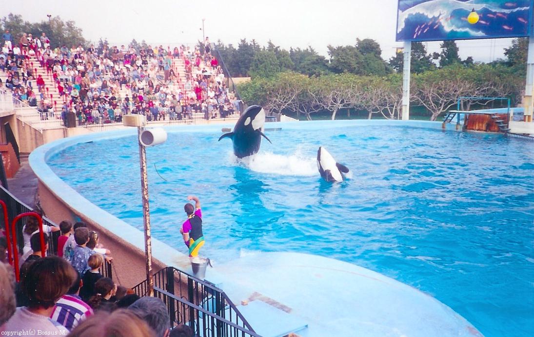 marineland bebe et maman