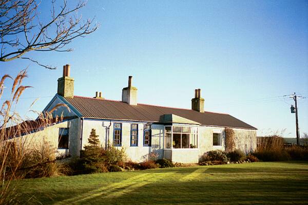 The Shearer Ranch