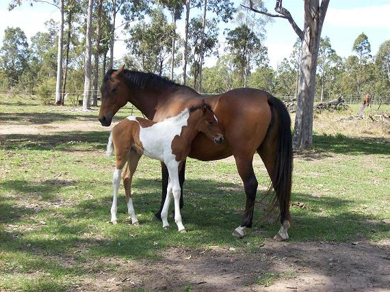 Mum and Bub enjoying some quiet time