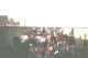 10.jpg (13006 bytes)