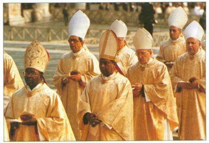 Cardenales.jpg