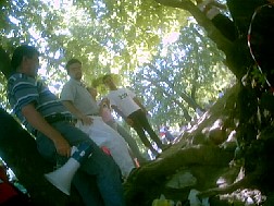 Img_0011.jpg