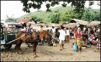 Feir�o na manh� de quarta-feira - Lombok - Indon�sia