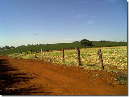 photo54.jpg