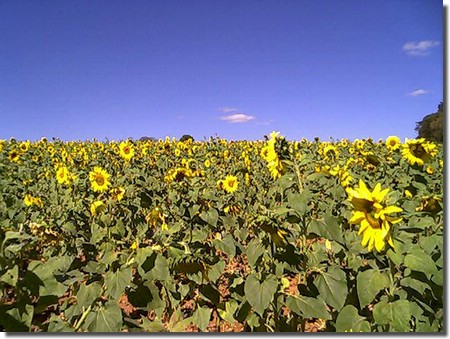 photo70.jpg