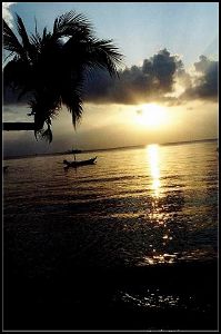 Ilha Tao