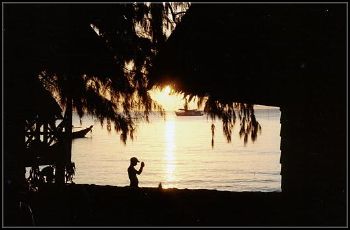Ilha Tao