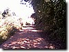 photo163.jpg