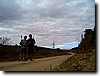 photo167.jpg