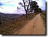 photo169.jpg