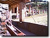 photo176.jpg