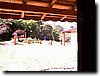 photo178.jpg