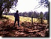 photo55.jpg