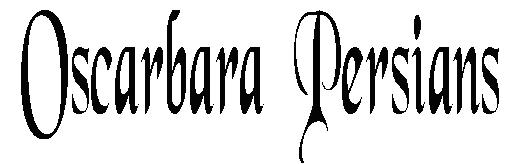 Oscarbara Persians