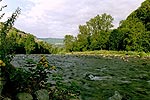 Allier