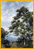 Volc�n Pico de Orizaba