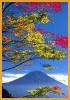Oto�o en el Fuji