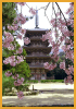 Pagoda Japonesa