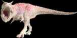 dino