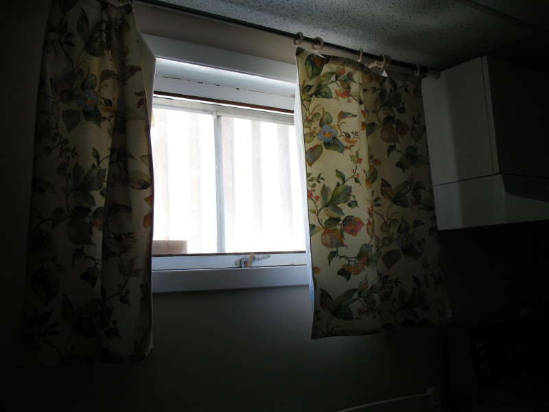 Kitchen window