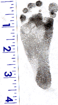 big foot