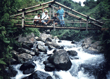 Jembatan, or bridge, made of bamboo