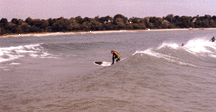 Longboard or Tripod Larry Williams