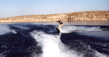 Morey ripping it up