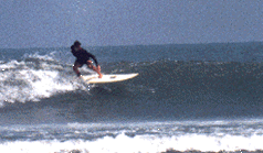 fun board