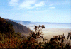 ngorongoro