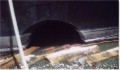 The Mather bow thruster