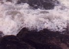 shore