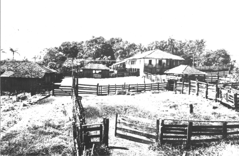 Fazenda.jpg (127567 bytes)