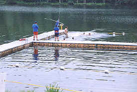 Swim Test