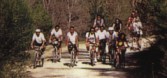 Bicicletas de monta�a