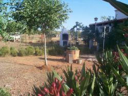 Alrededores de las casas