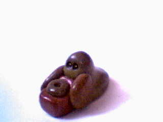 C B21