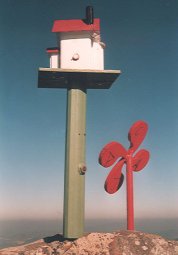 Adarra gaineko buzoia