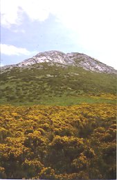 Atzera begira, Cervera mendia