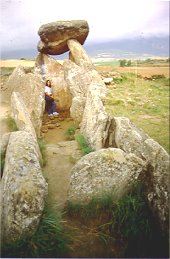 La Chabola de la Hechicera trikuharria, Bilarren