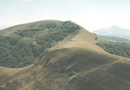 Arthanolatze gaina sartaldetik. Klik egin handiago ikusteko