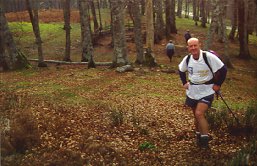 Josemari Unanue ibilbideko Linduserako kordaleko basoan