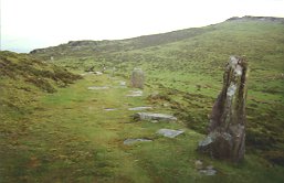 Belateko zutarrien galtzada