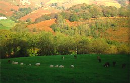 Baztan bailarako panoramika