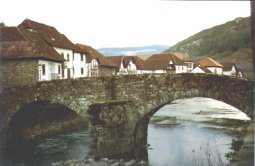 Otsagabiako zubia. Klik egin handiago ikusteko