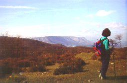 Lurdes Etxeberria, amaieratik hurbil. Atzean Txarlazo