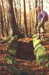 I&ntilde;aki Zabala, Beotegiko Murkoa trikuharrian