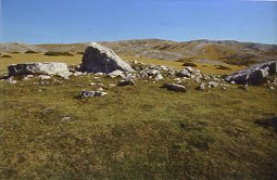 Trikuharri trikuharria, izen bereko lepoan